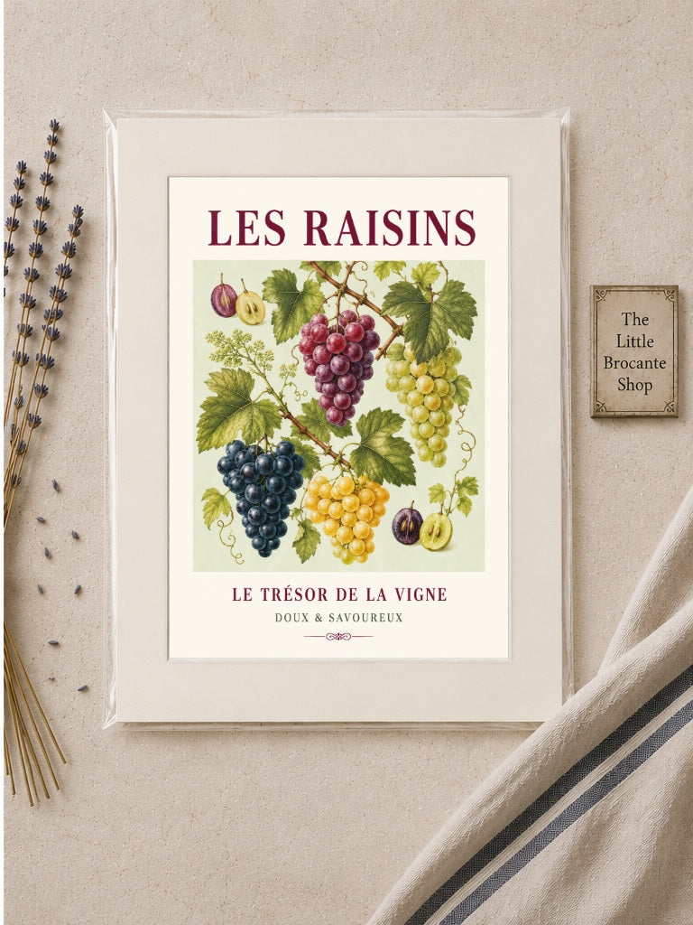Les Raisins – Illustrated French Grape Print | French Kitchen Wall Art, Illustrated French, Botanical, French Country, Vineyard Inspired, Fruit Illustration, Country Kitchen, European Kitchen, Rustic Country wall artwork.