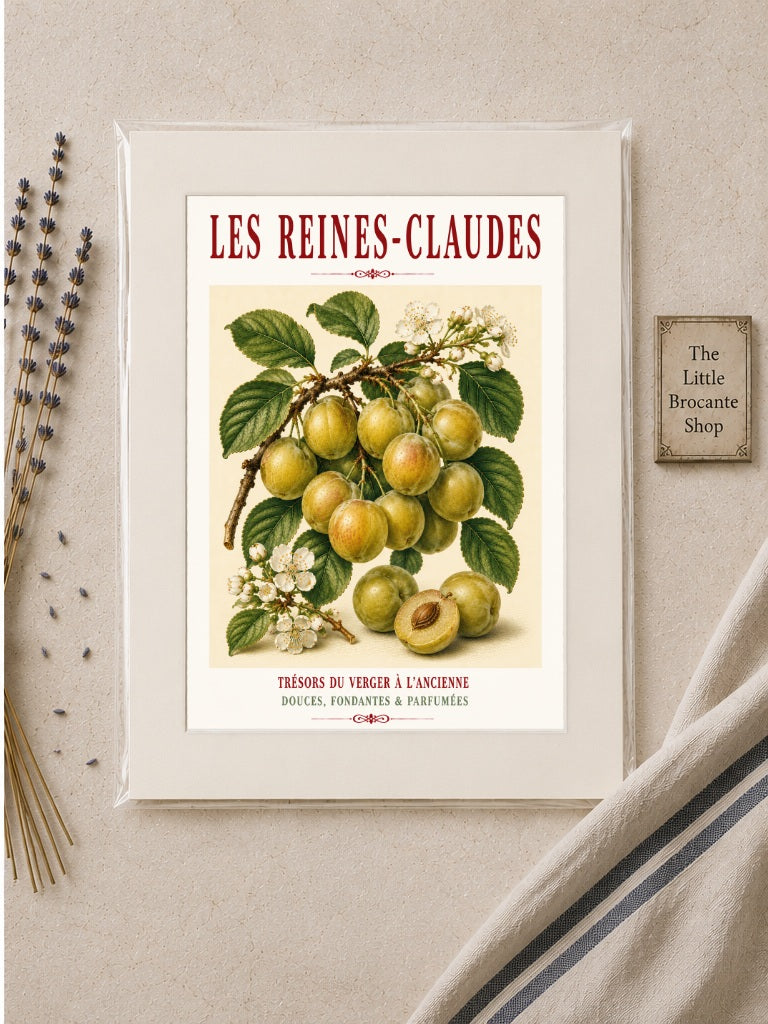 Les Reines-Claudes – Illustrated French Greengage Print | French Kitchen Wall Art, Illustrated French, Botanical, French Country, Orchard Inspired, Fruit Illustration, French Kitchen, Country Kitchen, Cottage Style, Botanical Wall Art wall artwork.