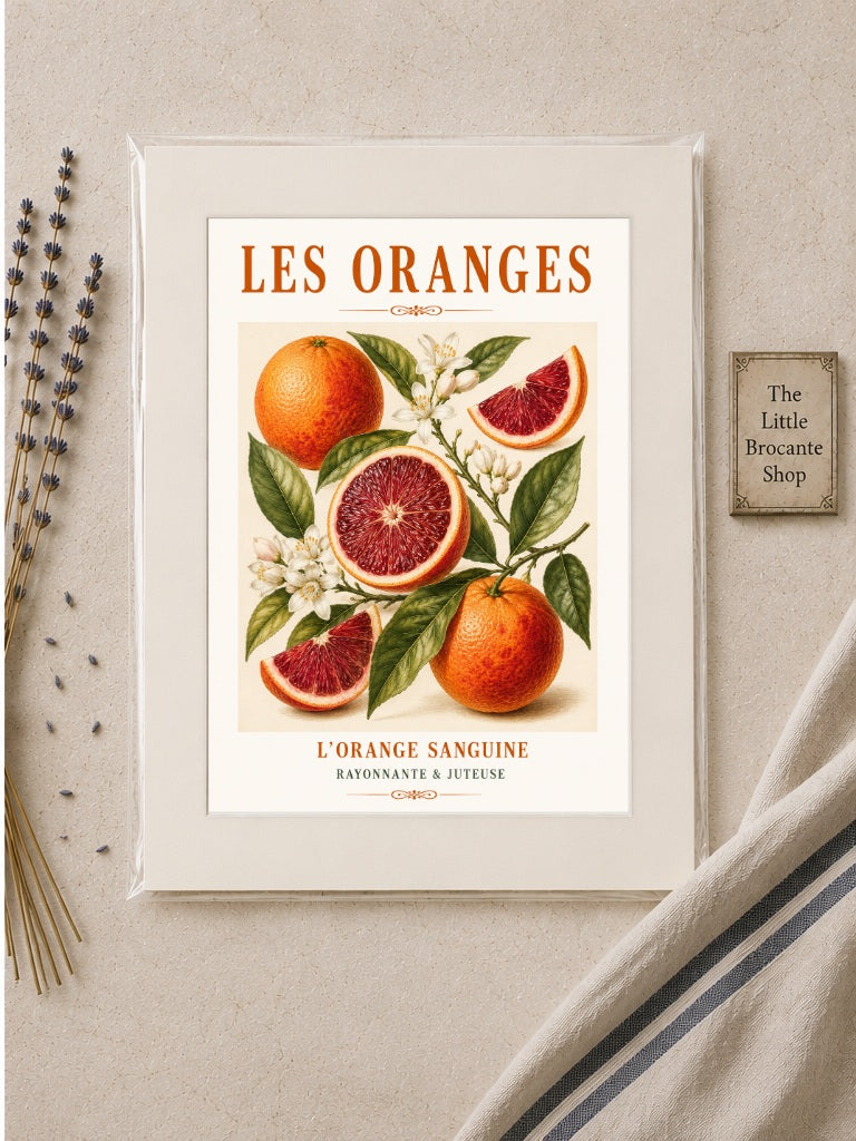 L’Orange Sanguine – Illustrated French Blood Orange Print | French Kitchen Wall Art, Illustrated French, Botanical, French Country, Mediterranean, Country Kitchen, Fruit Illustration, European Kitchen wall artwork.