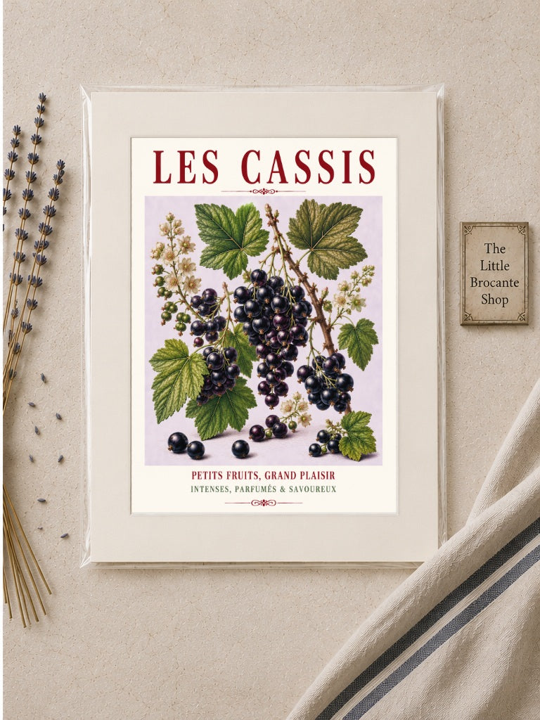Illustrated French Blackcurrant Print - Les Cassis | French Kitchen Wall Art, Illustrated French, Botanical, French Country, Berry Illustration, Fruit Illustration, Country Kitchen, French Countryside, Cottage Style, Botanical Wall Art wall artwork.