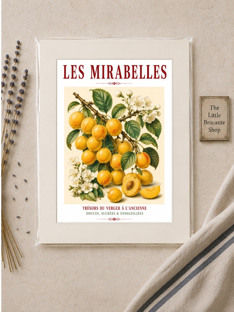 Illustrated French Mirabelle Plum Print | French Kitchen Wall Art, Illustrated French, Botanical, French Country, Fruit Illustration, Orchard Art, French Kitchen, Country Kitchen, French Provincial, Botanical Wall Art wall artwork.