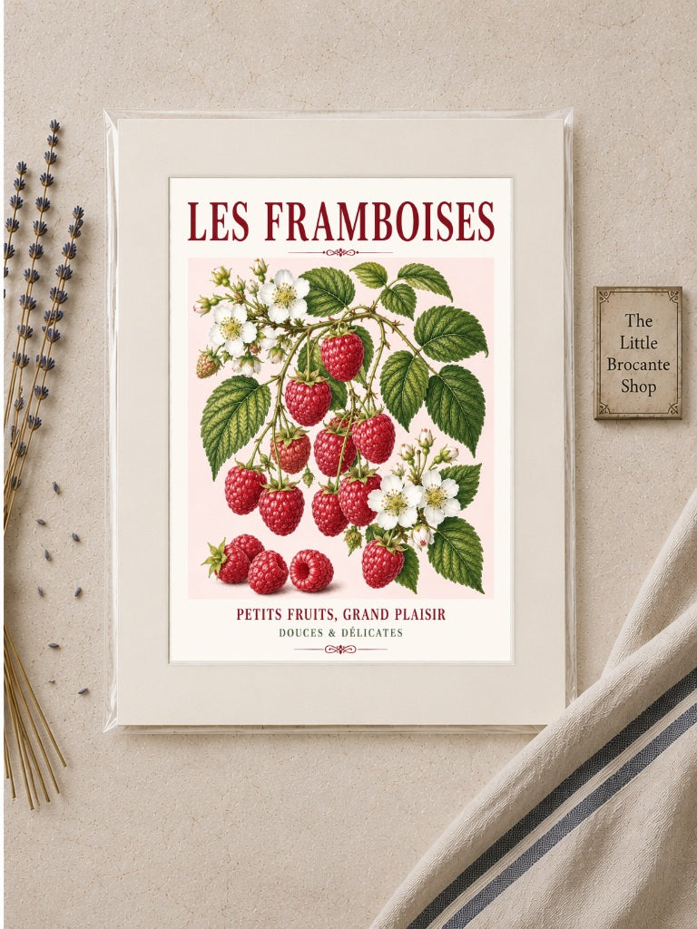 Les Framboises – Illustrated French Raspberry Print | French Kitchen Wall Art, Illustrated French, Botanical, French Country, Fruit Illustration, Kitchen Garden, Country Kitchen, Cottage Style, French Inspired wall artwork.