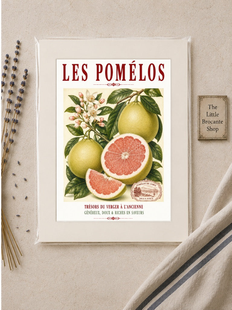 Illustrated French Pomelo Print | French Kitchen Wall Art, Illustrated French, Botanical, French Mediterranean, French Country, Citrus Art, Traditional Botanical Illustration, French Kitchen, Country Kitchen, Mediterranean Style, Pomological Illustration wall artwork.