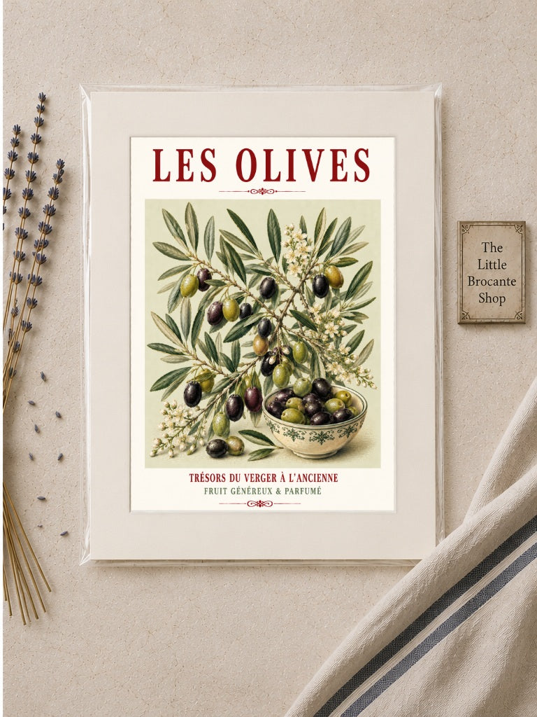Illustrated French Olive Print | Mediterranean Kitchen Wall Art, Illustrated French, Botanical, French Country, Provençal, Mediterranean, Olive Grove, French Kitchen, Country Kitchen, Rustic European, Botanical Wall Art wall artwork.