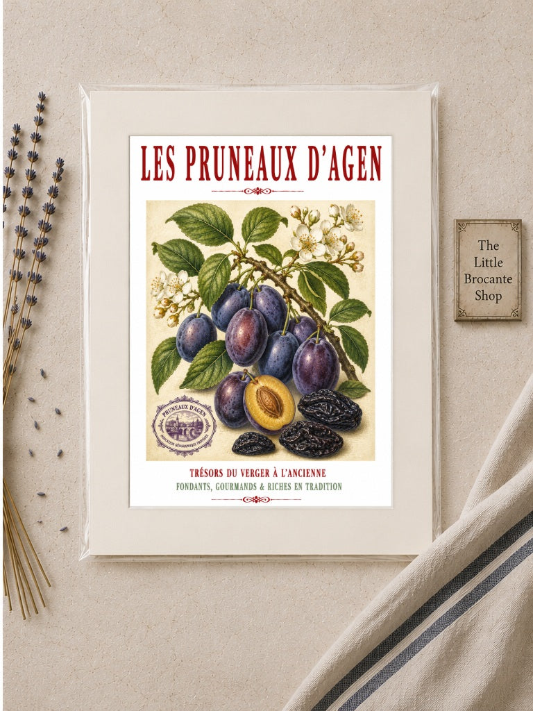 Les Pruneaux d’Agen – Illustrated French Agen Prune Print | French Kitchen Wall Art, Illustrated French, Botanical, French Country, Traditional French, Orchard Style, Pomological Illustration, French Kitchen, Country Kitchen, Regional French Food Art wall artwork.