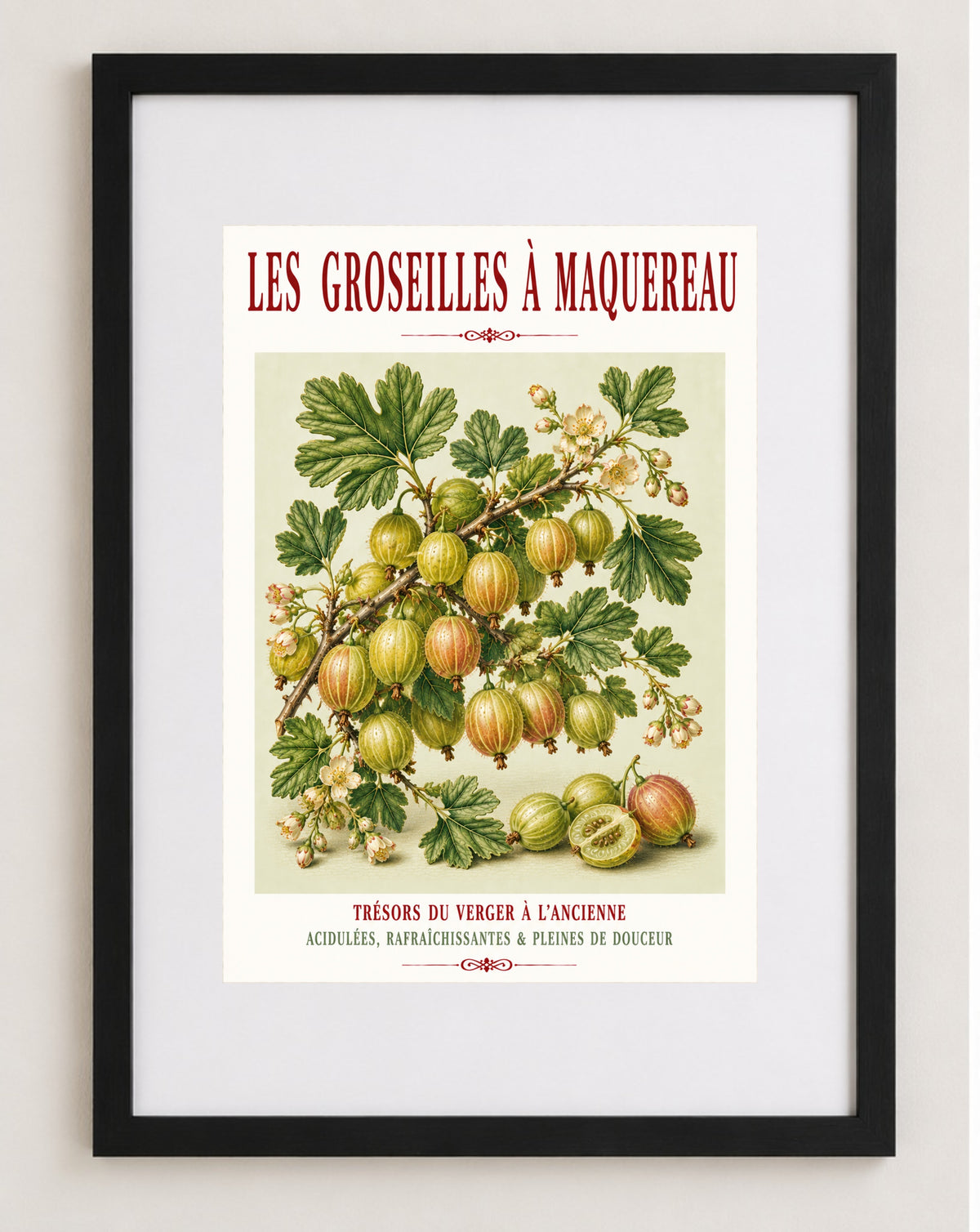 Illustrated French Gooseberry Print | French Kitchen Wall Art, Illustrated French, Botanical, French Country, Kitchen Garden, Fruit Illustration, French Kitchen, Country Kitchen, Cottage Garden, Botanical Wall Art wall artwork.